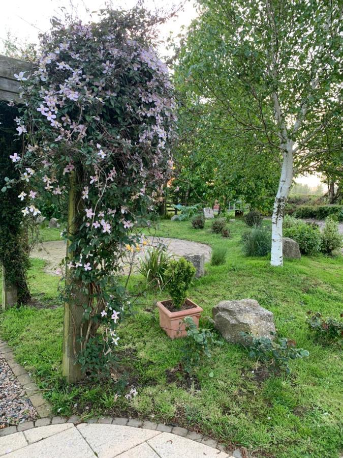 Aghagallon Windyridge B&B 외부 사진